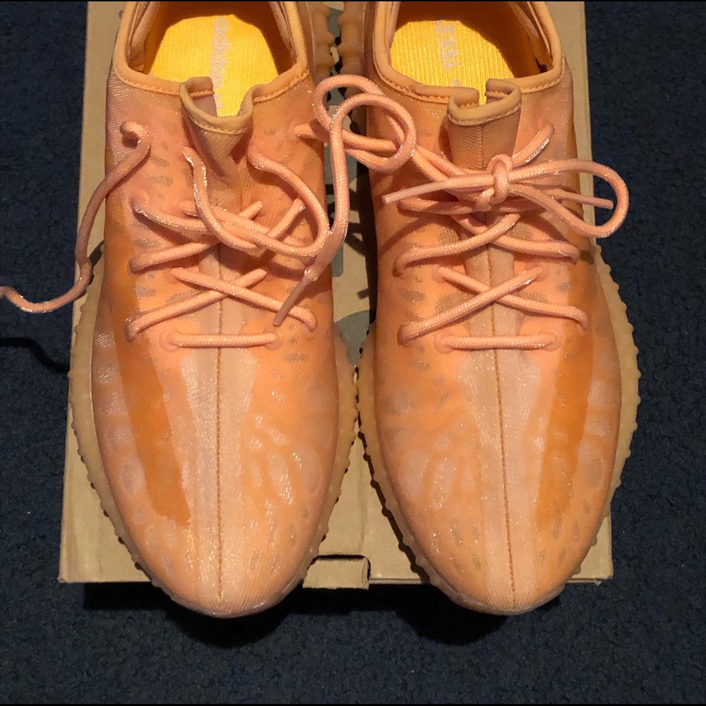 Adidas Yeezy Boost 350 V2 ‘Mono Clay’ 2021